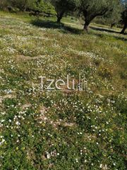 Οικόπεδο 4.181 τ.μ. για πώληση, Αχαΐα, Πάτρα-thumb-22