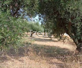 Οικόπεδο 4.181 τ.μ. για πώληση, Αχαΐα, Πάτρα-thumb-9
