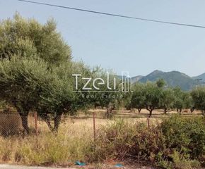 Οικόπεδο 4.181 τ.μ. για πώληση, Αχαΐα, Πάτρα-thumb-1