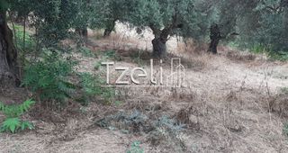 Οικόπεδο 2.001 τ.μ. για πώληση, Αχαΐα, Ωλένια-thumb-14