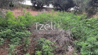 Οικόπεδο 2.001 τ.μ. για πώληση, Αχαΐα, Ωλένια-thumb-5