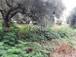 Οικόπεδο 2.001 τ.μ. για πώληση, Αχαΐα, Ωλένια-thumb-7