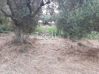 Οικόπεδο 2.001 τ.μ. για πώληση, Αχαΐα, Ωλένια-thumb-2