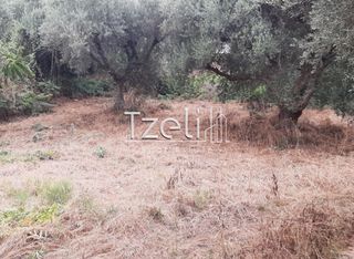Οικόπεδο 2.001 τ.μ. για πώληση