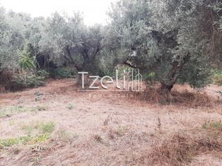 Οικόπεδο 2.001 τ.μ. για πώληση, Αχαΐα, Ωλένια-thumb-12