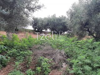Οικόπεδο 2.001 τ.μ. για πώληση, Αχαΐα, Ωλένια-thumb-1