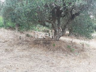 Οικόπεδο 2.001 τ.μ. για πώληση, Αχαΐα, Ωλένια-thumb-10