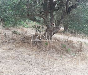 Οικόπεδο 2.001 τ.μ. για πώληση, Αχαΐα, Ωλένια-thumb-4
