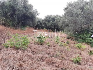 Οικόπεδο 2.001 τ.μ. για πώληση, Αχαΐα, Ωλένια-thumb-11