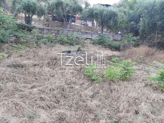 Οικόπεδο 2.001 τ.μ. για πώληση, Αχαΐα, Ωλένια-thumb-15