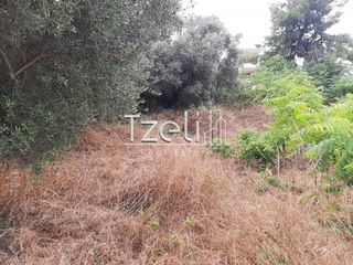 Οικόπεδο 2.001 τ.μ. για πώληση, Αχαΐα, Ωλένια-thumb-6