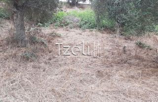 Οικόπεδο 2.001 τ.μ. για πώληση, Αχαΐα, Ωλένια-thumb-22