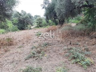 Οικόπεδο 2.001 τ.μ. για πώληση, Αχαΐα, Ωλένια-thumb-8