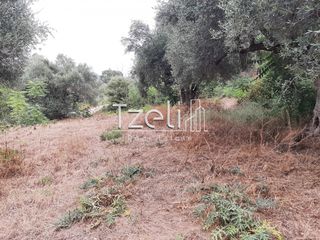 Οικόπεδο 2.001 τ.μ. για πώληση, Αχαΐα, Ωλένια-thumb-3