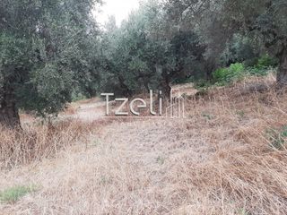 Οικόπεδο 2.001 τ.μ. για πώληση, Αχαΐα, Ωλένια-thumb-20