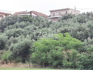 Οικόπεδο 2.001 τ.μ. για πώληση, Αχαΐα, Ωλένια-thumb-23