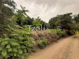 Οικόπεδο 2.001 τ.μ. για πώληση, Αχαΐα, Ωλένια-thumb-13