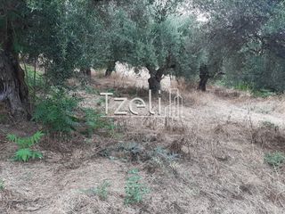 Οικόπεδο 2.001 τ.μ. για πώληση, Αχαΐα, Ωλένια-thumb-18