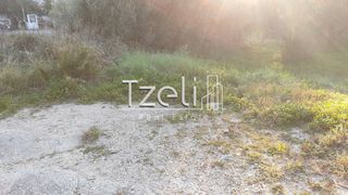 Οικόπεδο 288 τ.μ. για πώληση, Αχαΐα, Μεσσατίδα-thumb-13