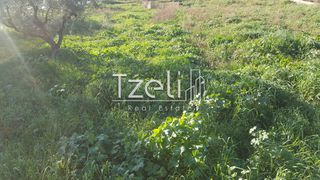 Οικόπεδο 288 τ.μ. για πώληση, Αχαΐα, Μεσσατίδα-thumb-1