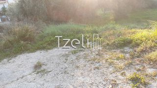 Οικόπεδο 288 τ.μ. για πώληση, Αχαΐα, Μεσσατίδα-thumb-14