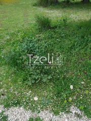 Οικόπεδο 288 τ.μ. για πώληση, Αχαΐα, Μεσσατίδα-thumb-8