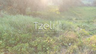 Οικόπεδο 288 τ.μ. για πώληση, Αχαΐα, Μεσσατίδα-thumb-12