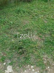 Οικόπεδο 288 τ.μ. για πώληση, Αχαΐα, Μεσσατίδα-thumb-6