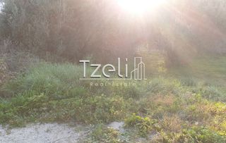 Οικόπεδο 288 τ.μ. για πώληση, Αχαΐα, Μεσσατίδα-thumb-2