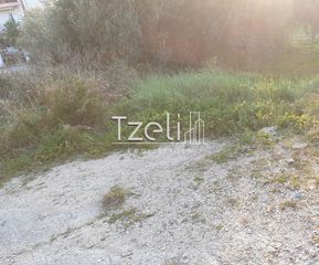 Οικόπεδο 288 τ.μ. για πώληση, Αχαΐα, Μεσσατίδα-thumb-10