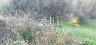 Οικόπεδο 288 τ.μ. για πώληση, Αχαΐα, Μεσσατίδα-thumb-9