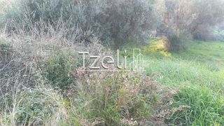 Οικόπεδο 288 τ.μ. για πώληση, Αχαΐα, Μεσσατίδα-thumb-5