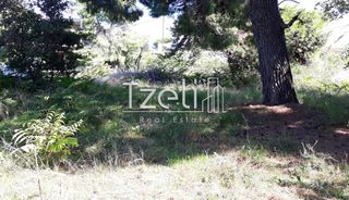 Οικόπεδο 1.486 τ.μ. για πώληση, Αχαΐα, Ρίο-thumb-13
