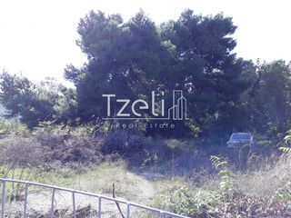 Οικόπεδο 1.486 τ.μ. για πώληση, Αχαΐα, Ρίο-thumb-1