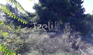 Οικόπεδο 1.486 τ.μ. για πώληση, Αχαΐα, Ρίο-thumb-22