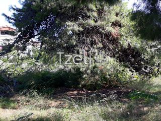 Οικόπεδο 1.486 τ.μ. για πώληση, Αχαΐα, Ρίο-thumb-10