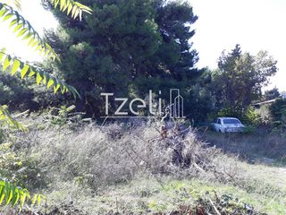 Οικόπεδο 1.486 τ.μ. για πώληση, Αχαΐα, Ρίο-thumb-2