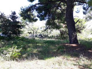 Οικόπεδο 1.486 τ.μ. για πώληση, Αχαΐα, Ρίο-thumb-6