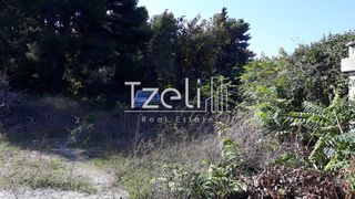 Οικόπεδο 1.486 τ.μ. για πώληση, Αχαΐα, Ρίο-thumb-23