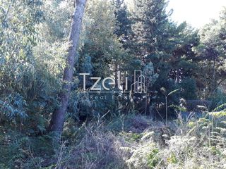Οικόπεδο 1.486 τ.μ. για πώληση, Αχαΐα, Ρίο-thumb-14