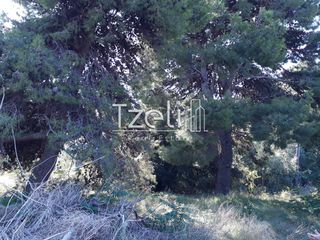 Οικόπεδο 1.486 τ.μ. για πώληση, Αχαΐα, Ρίο-thumb-8