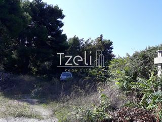 Οικόπεδο 1.486 τ.μ. για πώληση, Αχαΐα, Ρίο-thumb-5
