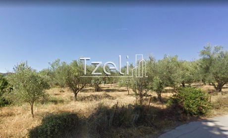 Οικόπεδο 2.200τ.μ. για πώληση-Φαρές » Βασιλικό