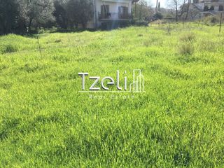 Οικόπεδο 11.000 τ.μ. για πώληση, Αχαΐα, Λάρισσος-thumb-18