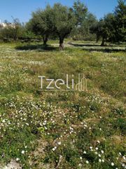 Οικόπεδο 11.000 τ.μ. για πώληση, Αχαΐα, Λάρισσος-thumb-24
