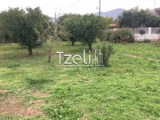 Οικόπεδο 11.000 τ.μ. για πώληση, Αχαΐα, Λάρισσος-thumb-20