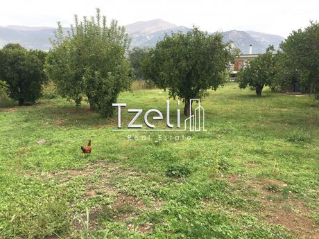 Land plot 11.000sqm for sale-Larissos » Karnari