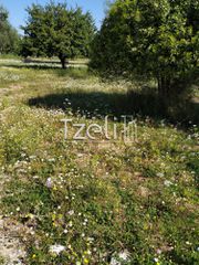 Οικόπεδο 11.000 τ.μ. για πώληση, Αχαΐα, Λάρισσος-thumb-19