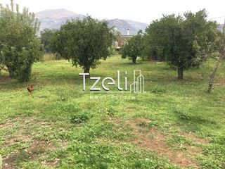 Οικόπεδο 11.000 τ.μ. για πώληση, Αχαΐα, Λάρισσος-thumb-5