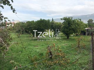 Οικόπεδο 11.000 τ.μ. για πώληση, Αχαΐα, Λάρισσος-thumb-2